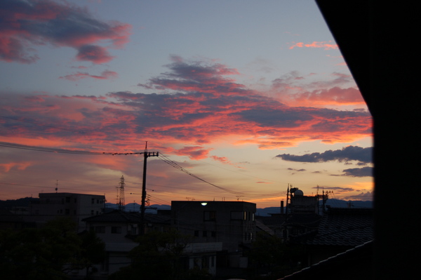 b0097729_20401322.jpg