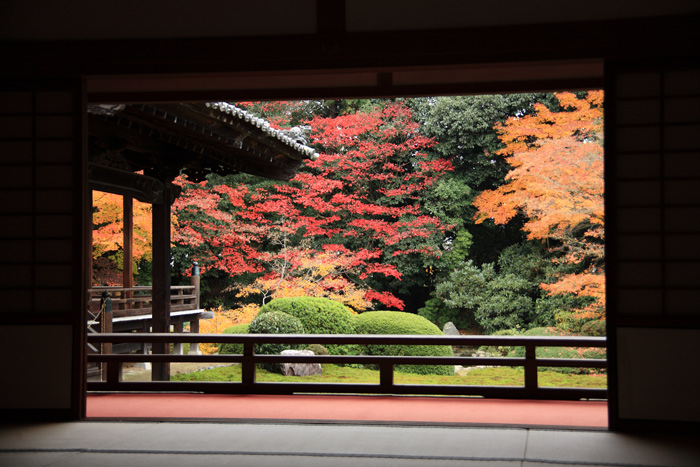 晩秋の京都・・・隨心院_e0025930_22534256.jpg