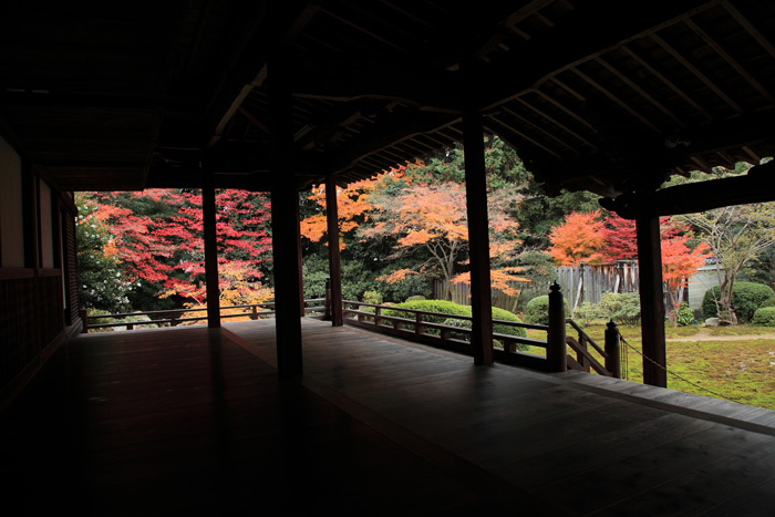 晩秋の京都・・・隨心院_e0025930_22555546.jpg