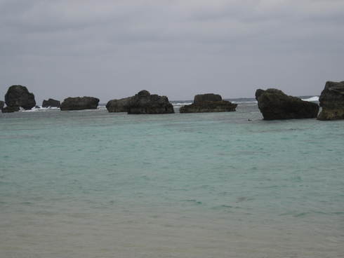 f0105732_16102066.jpg