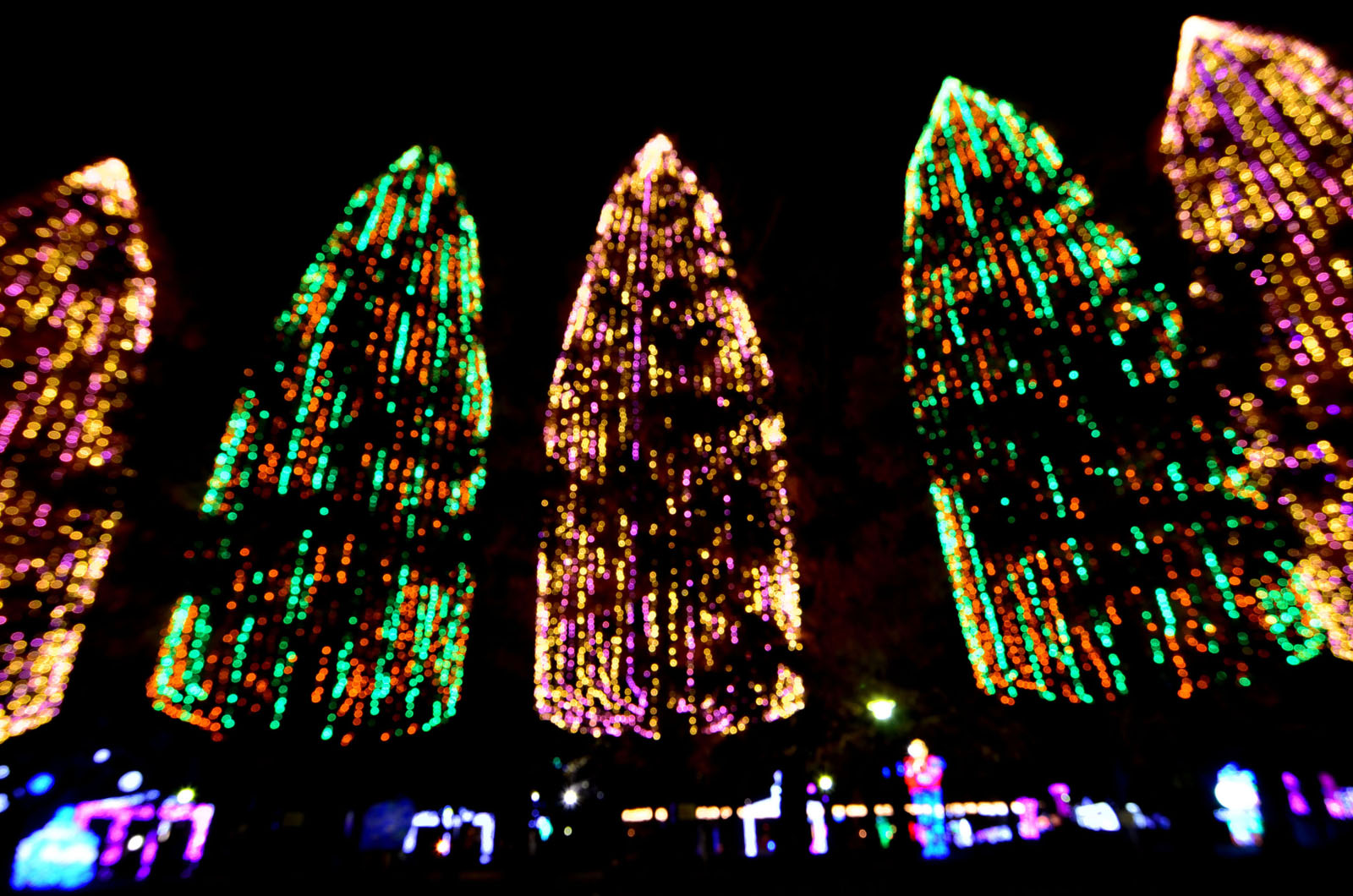 a0197635_13495573.jpg