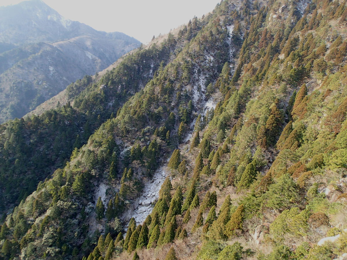 d0169937_2019438.jpg