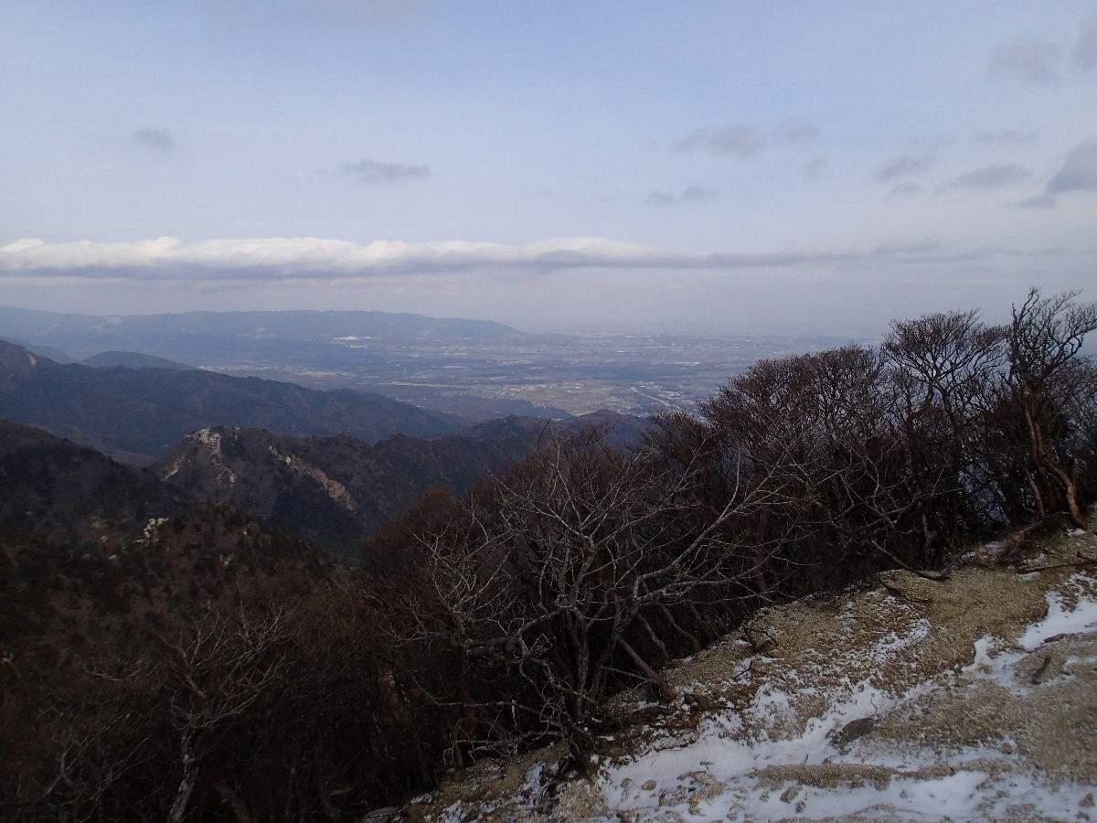 d0169937_2020141.jpg