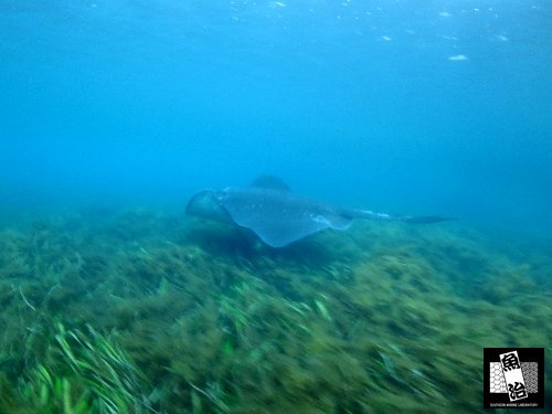 a0150039_252999.jpg
