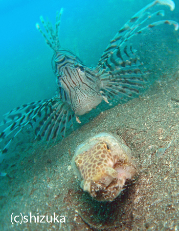 b0163039_162828.jpg