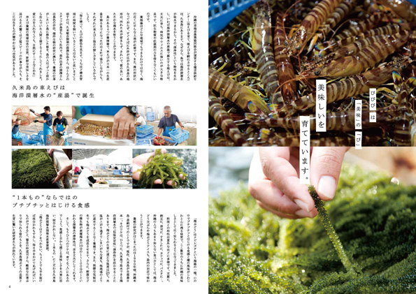 びびびの島_c0191542_21512948.jpg