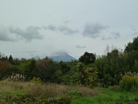 c0237143_0461755.jpg