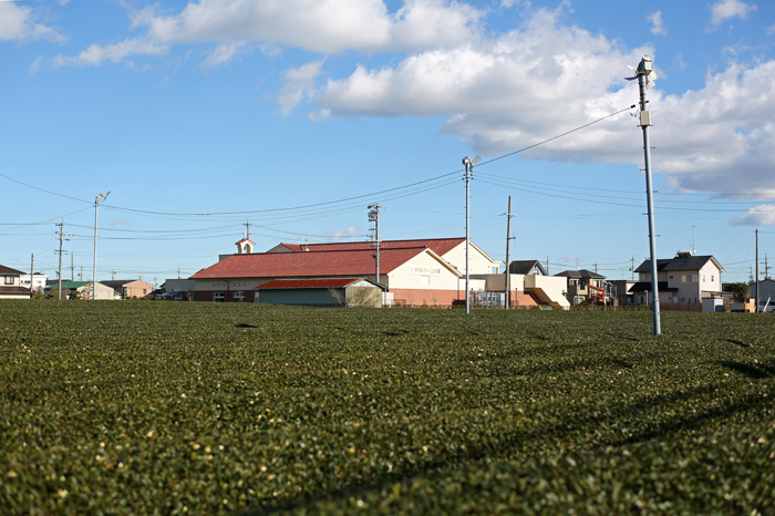 c0035245_2414761.jpg