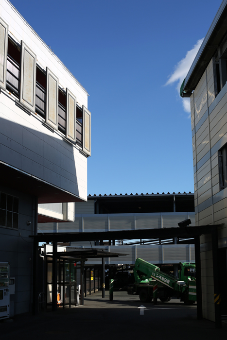 c0035245_3134340.jpg