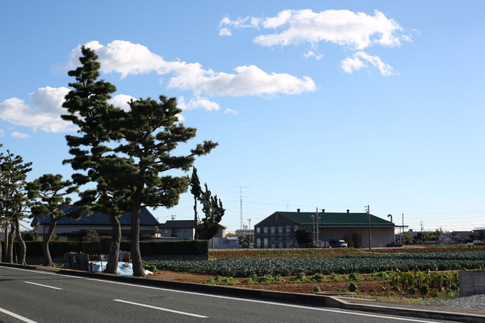 c0035245_3175475.jpg