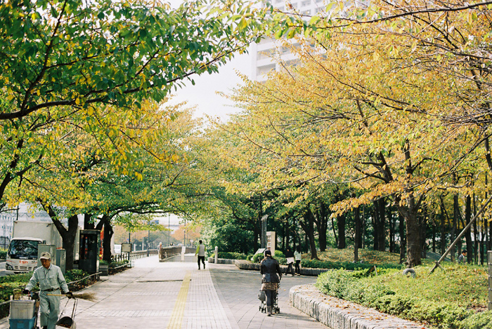 b0067346_22524266.jpg