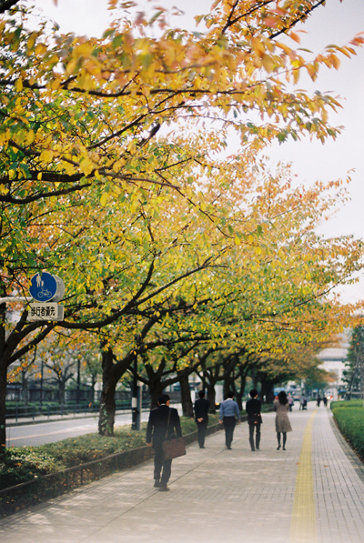 b0067346_22524543.jpg