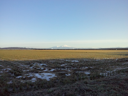 c0110447_1973166.jpg