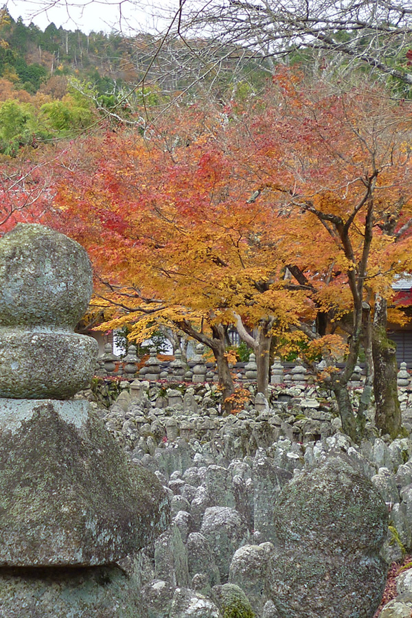 ぶらり京都-38 [化野念仏寺]_f0190950_1484085.jpg