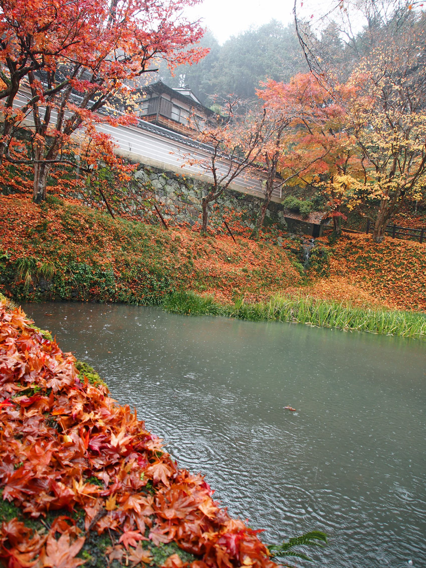 円通寺（中編）　～丹波・但馬・丹後の旅（３）_f0140054_7193885.jpg