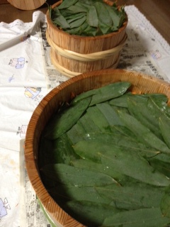 飯寿司に挑戦。_d0154957_15415152.jpg