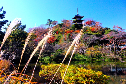 a0248459_1323367.jpg