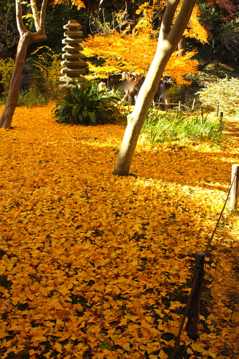 a0248459_13312051.jpg