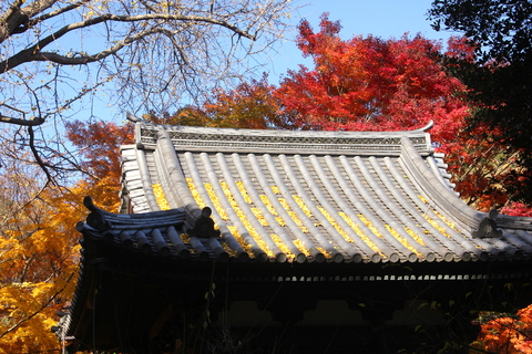a0248459_13353987.jpg