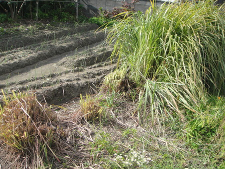 c0108460_12283628.jpg