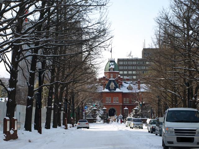 札幌は雪景色_d0153062_8361765.jpg