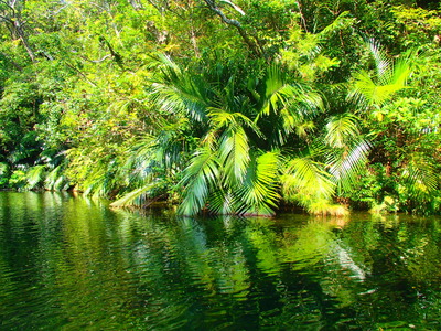 f0134464_16364577.jpg