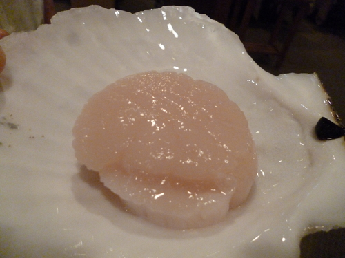 立派です!_e0252966_1210421.jpg