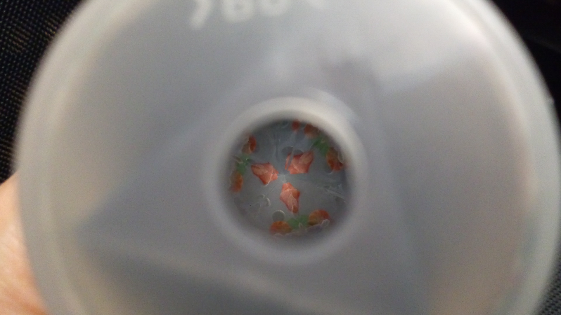 おすすめ体験!万華鏡の巻!_a0200771_16572619.jpg