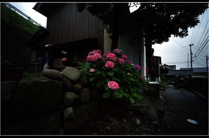 402.06 ホロゴンデイ98「2005年7月4日 福井県梅浦の港は雨だった」6　天も人も激動し_c0168172_17473863.jpg