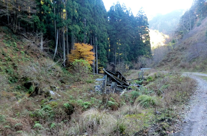 b0185573_2012714.jpg