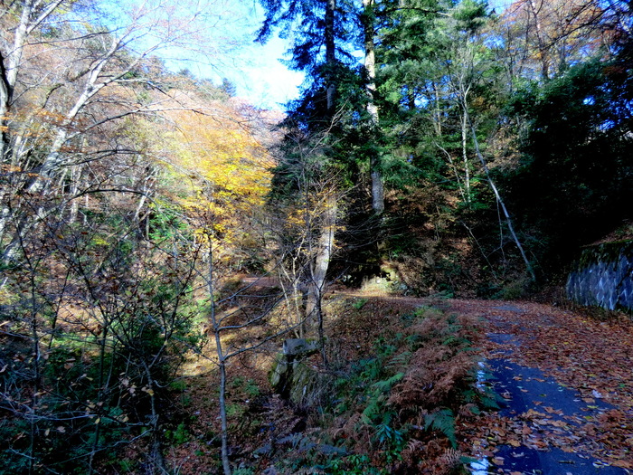 b0185573_745564.jpg