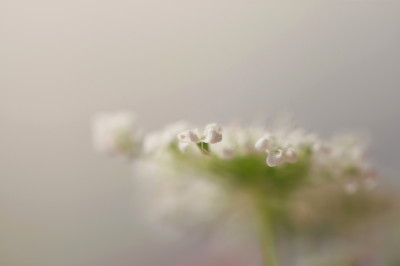 f0037378_750381.jpg