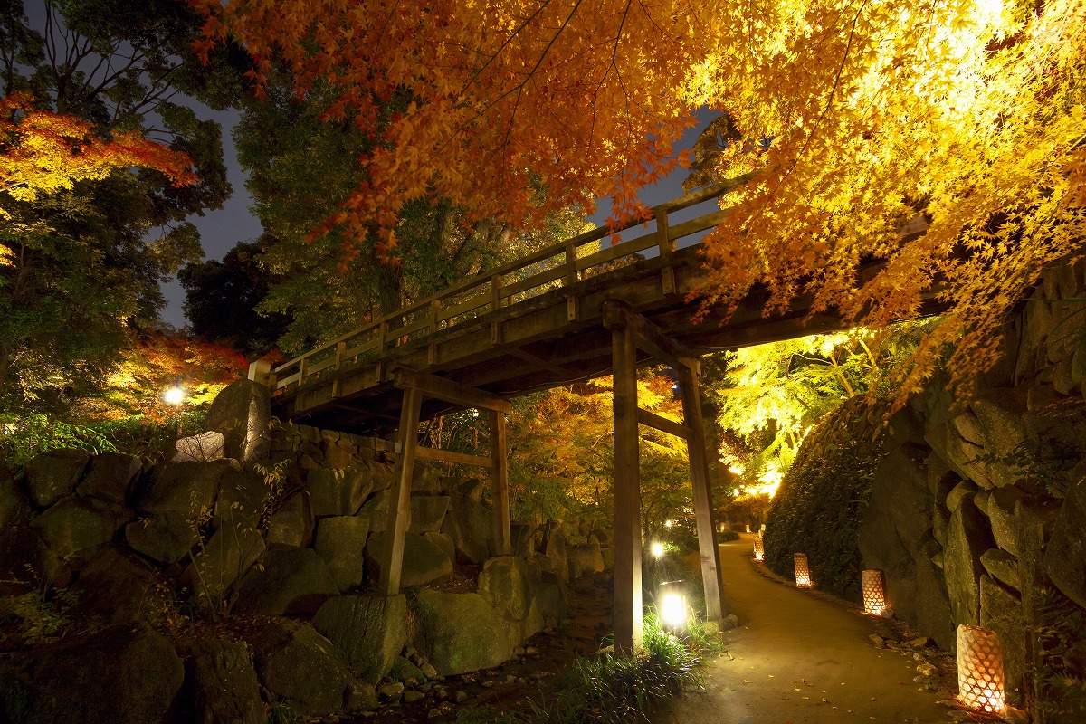 徳川園 紅葉 Cherish Everyday 徳川園 紅葉 Cherish Everyday