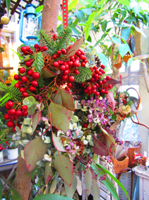a0062983_11555963.jpg