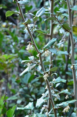 c0229483_930780.jpg