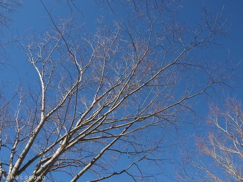 e0211786_932172.jpg