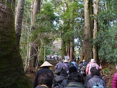 南紀を旅してきました 三日目 熊野古道を歩く(3)大門坂_b0175688_22355276.jpg