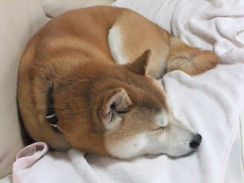 b0230589_1028287.jpg