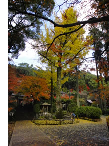 ねんきんQuiz-第219問_d0132289_1445794.jpg