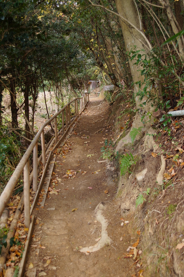 c0253196_236147.jpg
