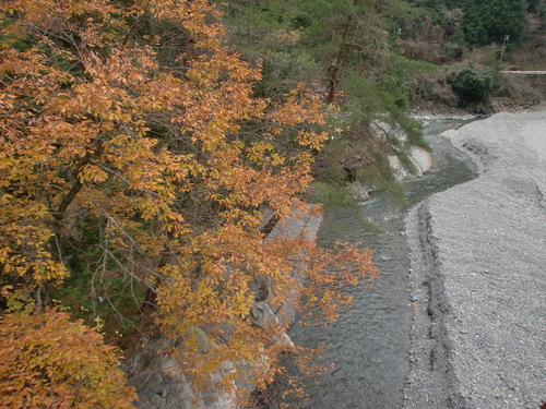 d0115997_061140.jpg