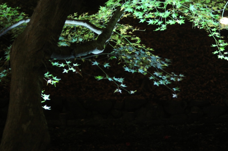 b0138798_114177.jpg