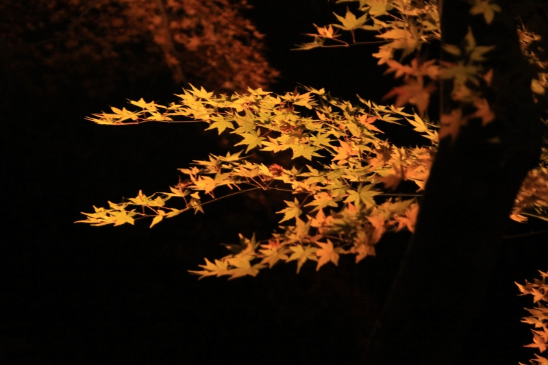 b0138798_11484340.jpg