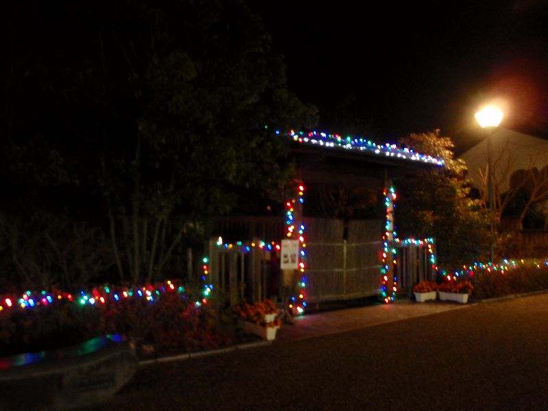 d0069498_20565567.jpg