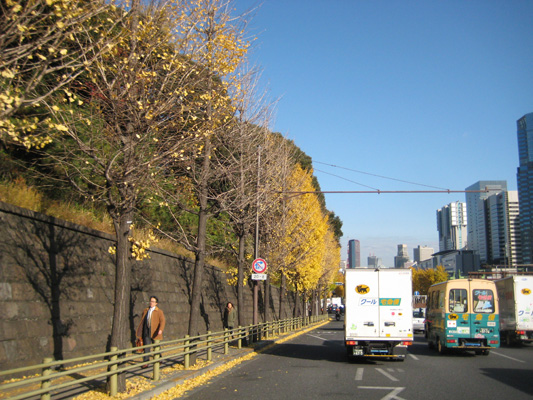 b0097200_233524.jpg
