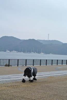 a0134004_23364628.jpg