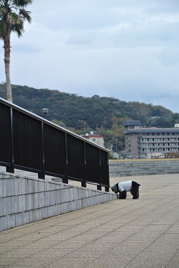a0134004_23382160.jpg