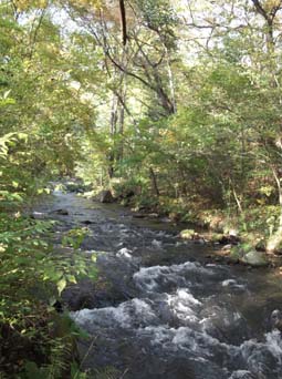 e0008704_163973.jpg