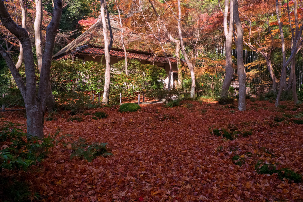 奥嵯峨・祇王寺_b0221605_20103480.jpg