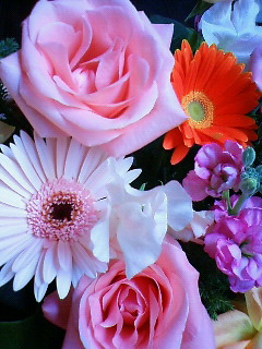 a0228408_8363088.jpg